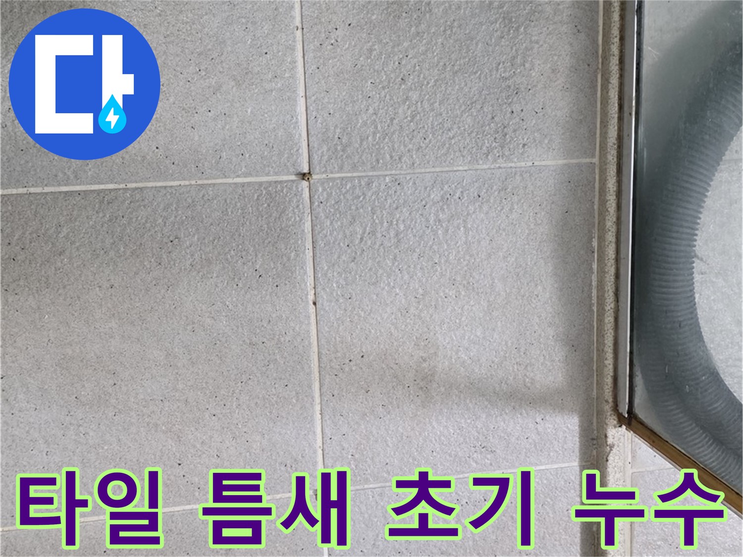 운중동 욕실 바닥 타일 틈새 - 누수 초기 증상으로 틈새에 습기가 차거나 곰팡이가 생길 수 있습니다.