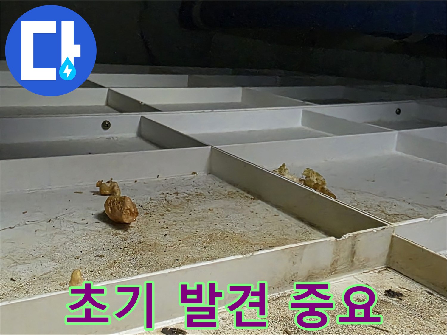 초기 발견 중요 - 누수 초기 발견의 중요성