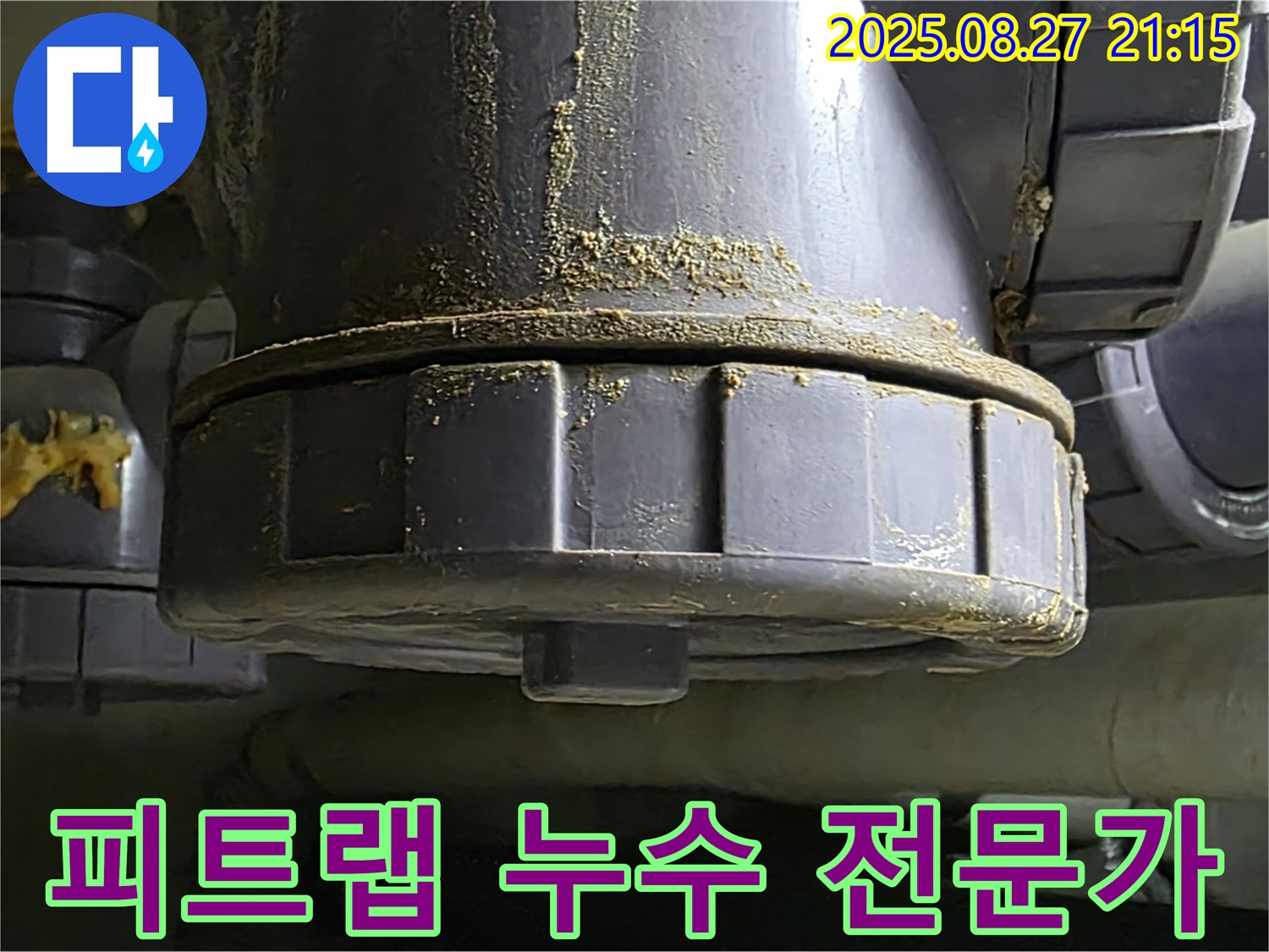 피트랩 누수 전문가 - 풍부한 경험과 노하우를 가진 전문가 - 믿고 맡기세요.
