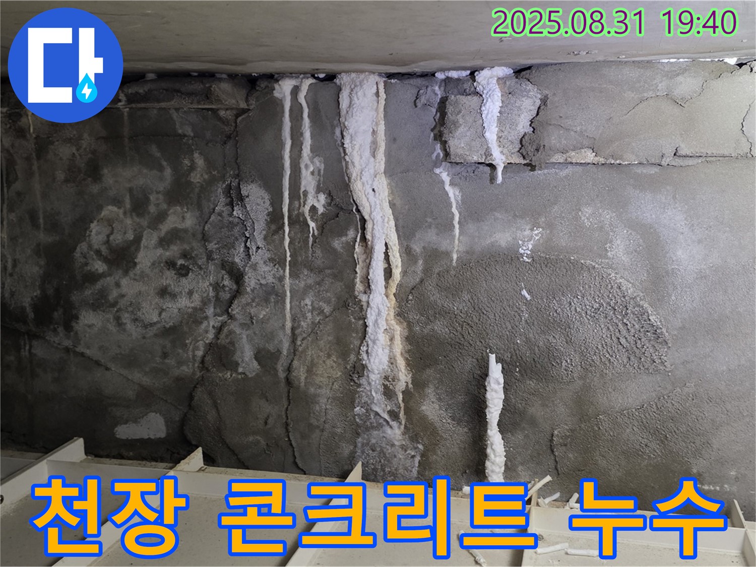 분당 구미동 건물 천장 콘크리트 누수 - 심각한 누수 흔적과 석회 용출, 건물 안전 위협