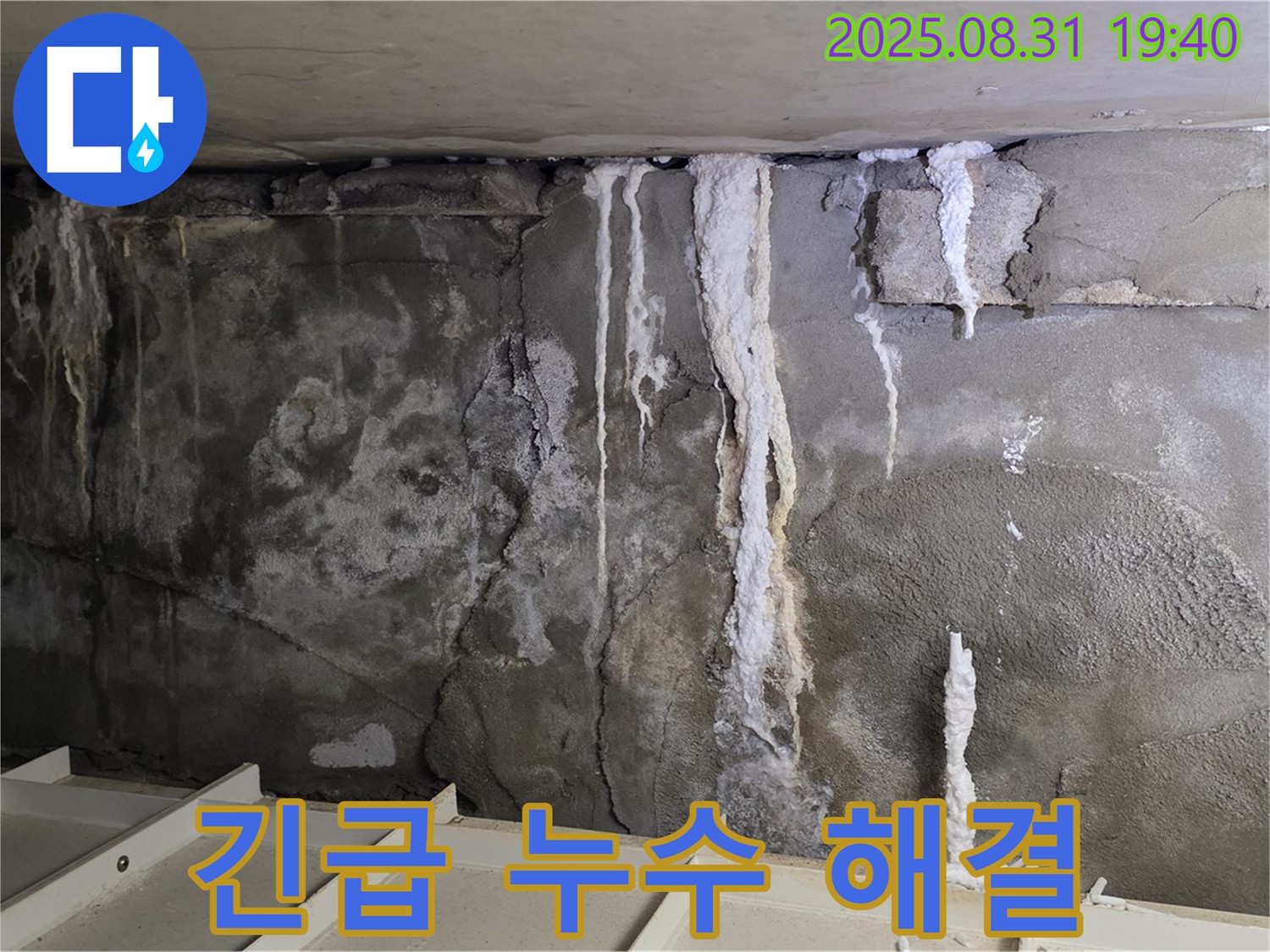 분당 긴급 누수 - 콘크리트 벽면을 타고 흐르는 누수와 석회 자국 - 긴급한 상황, 빠른 해결이 필요합니다.
