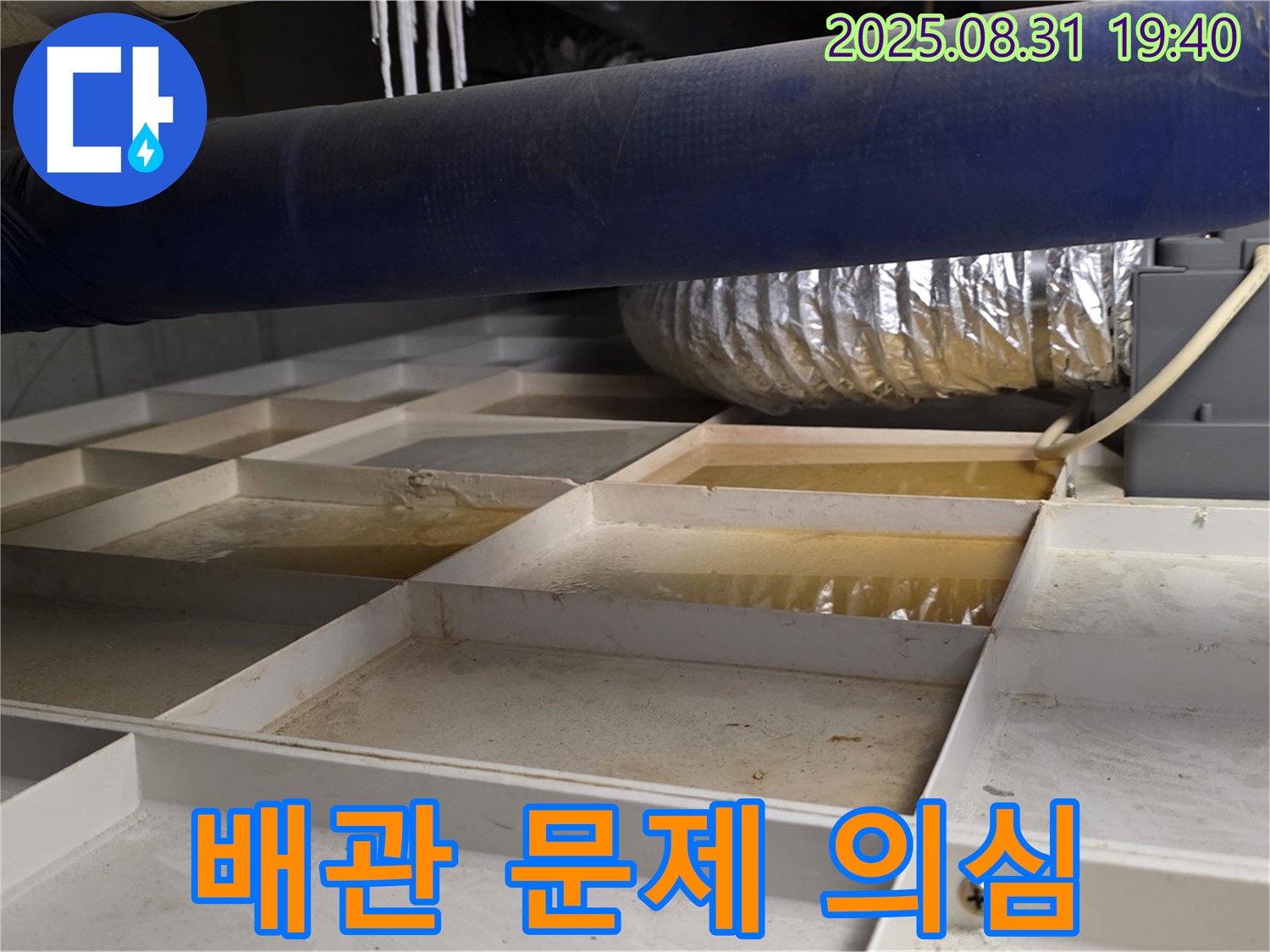분당 백현동 건물 텍스 누수 - 위층 배관 문제 의심 - 정밀 누수 탐지 진행
