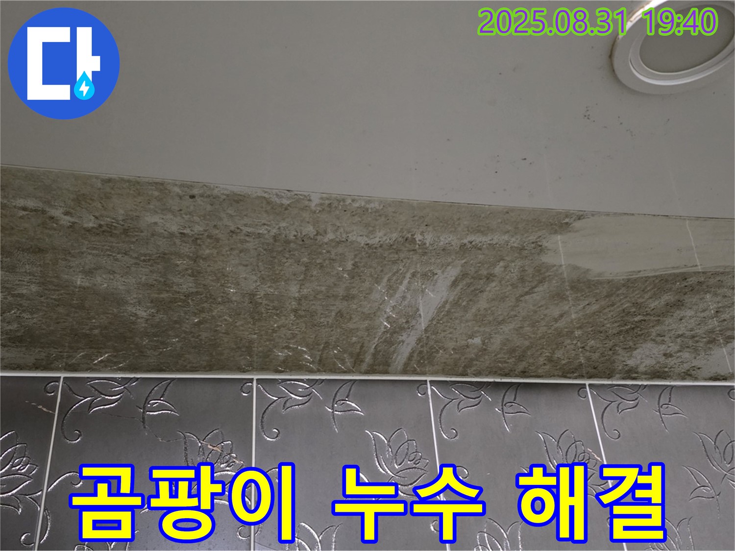 분당 백현동 곰팡이 슬어버린 욕실 천장 누수 - 완벽하게 해결된 현장 후기!