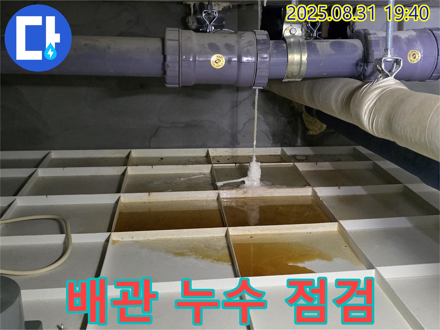 분당 백현동 누수 현장 - 배관 누수 여부 꼼꼼하게 점검