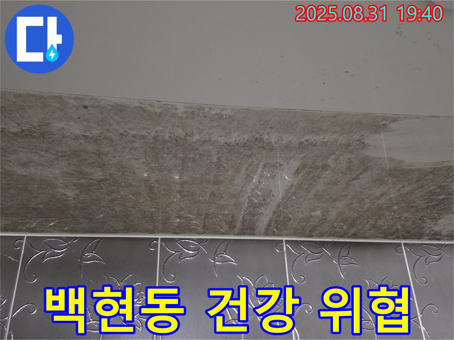 분당 백현동 욕실 곰팡이 - 건강을 위협하는 곰팡이!