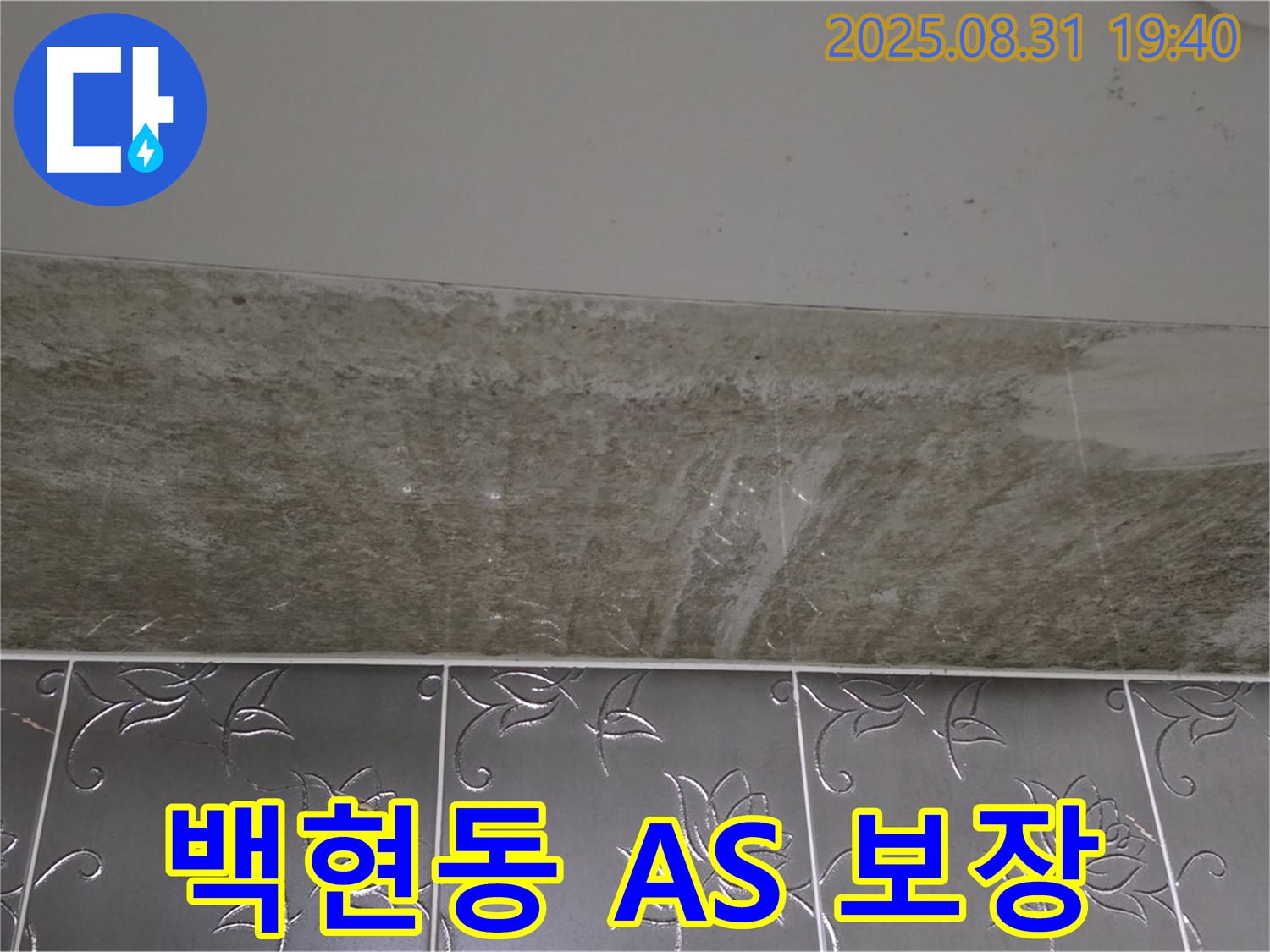분당 백현동 욕실 곰팡이 - 확실한 A/S 보장!