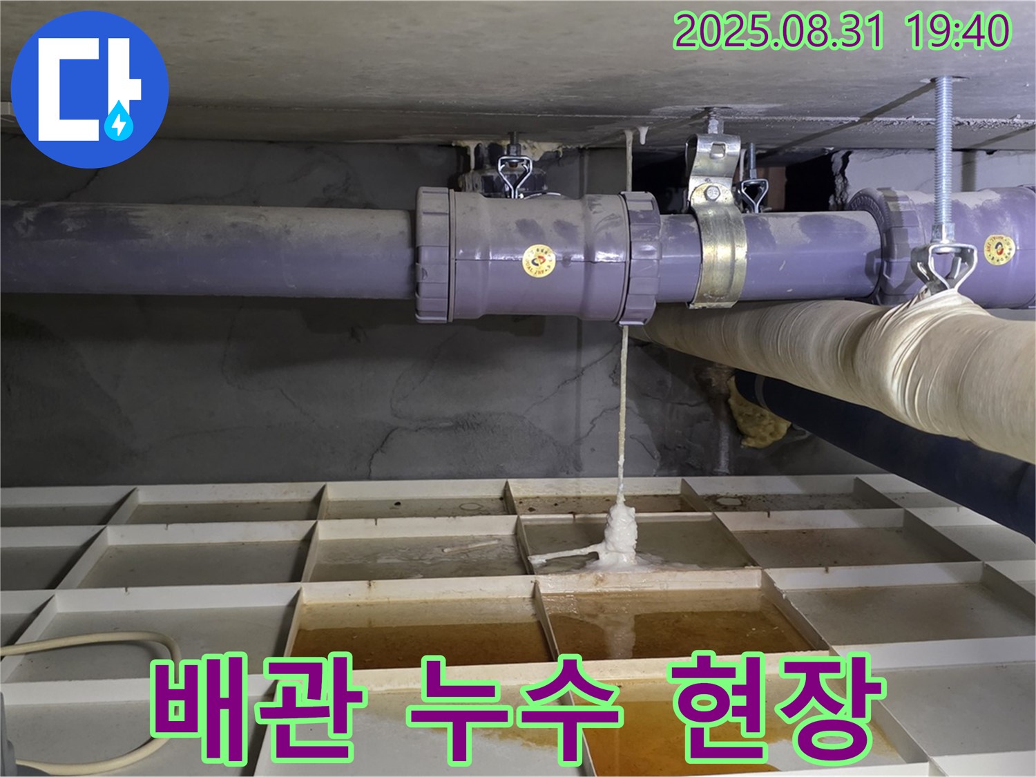 분당 산운로 누수 현장 - 천장 배관에서 누수가 발생하여 긴급 점검 및 보수 진행
