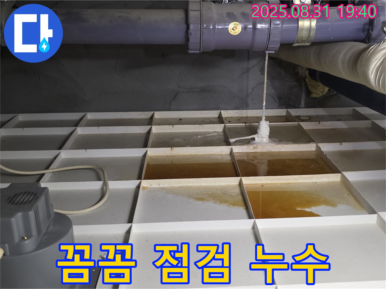 분당구 정자동 건물 누수 - 꼼꼼한 점검으로 배관 누수 해결