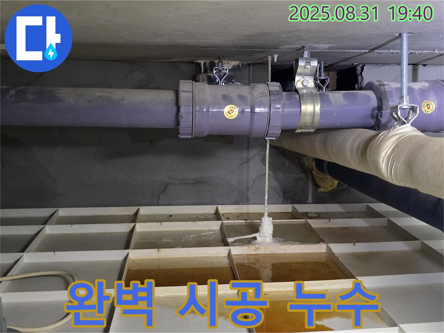 성남 분당 산운로 누수 - 누수 탐지부터 완벽 시공까지 한 번에 해결!