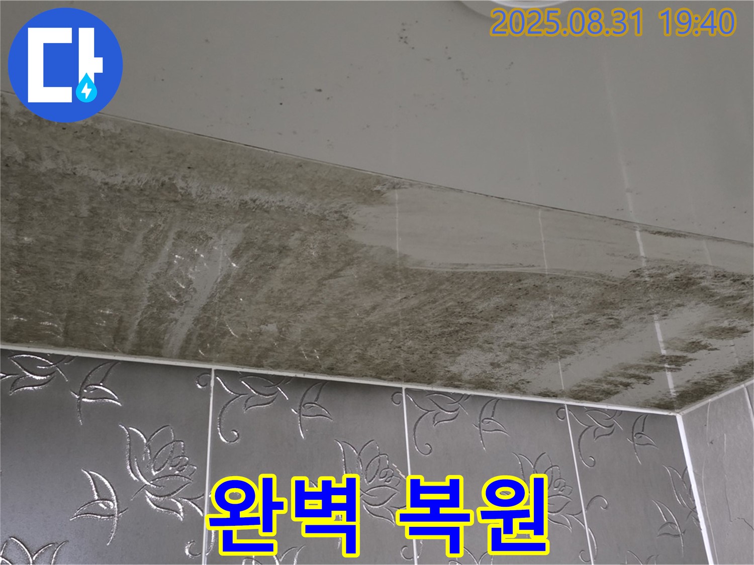 운중동 - 곰팡이 욕실 - 완벽 복원, 뽀송한 공간