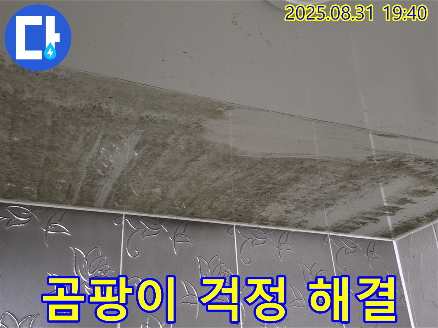 정자동 욕실 - 누수와 곰팡이 해결 후 쾌적해진 모습