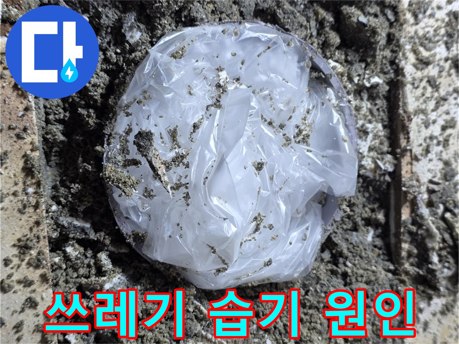 묵동 타일 밑 쓰레기 봉투 - 습기 원인!