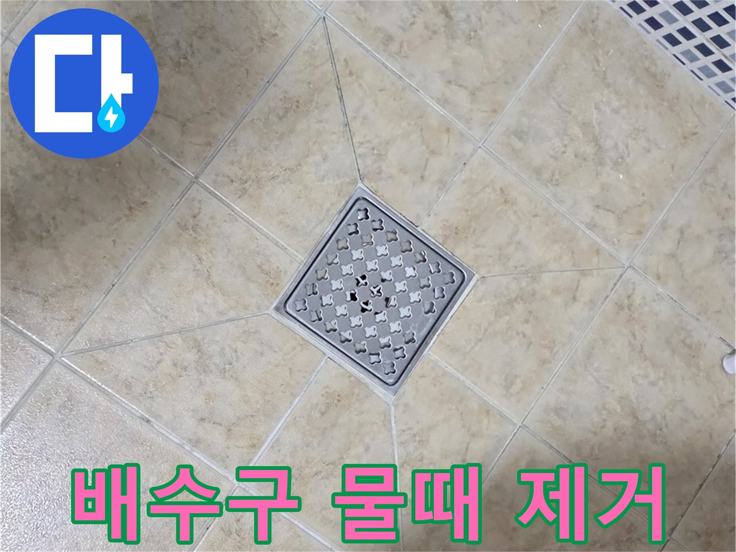 배수구 물때 - 친환경 세제, 항균 코팅