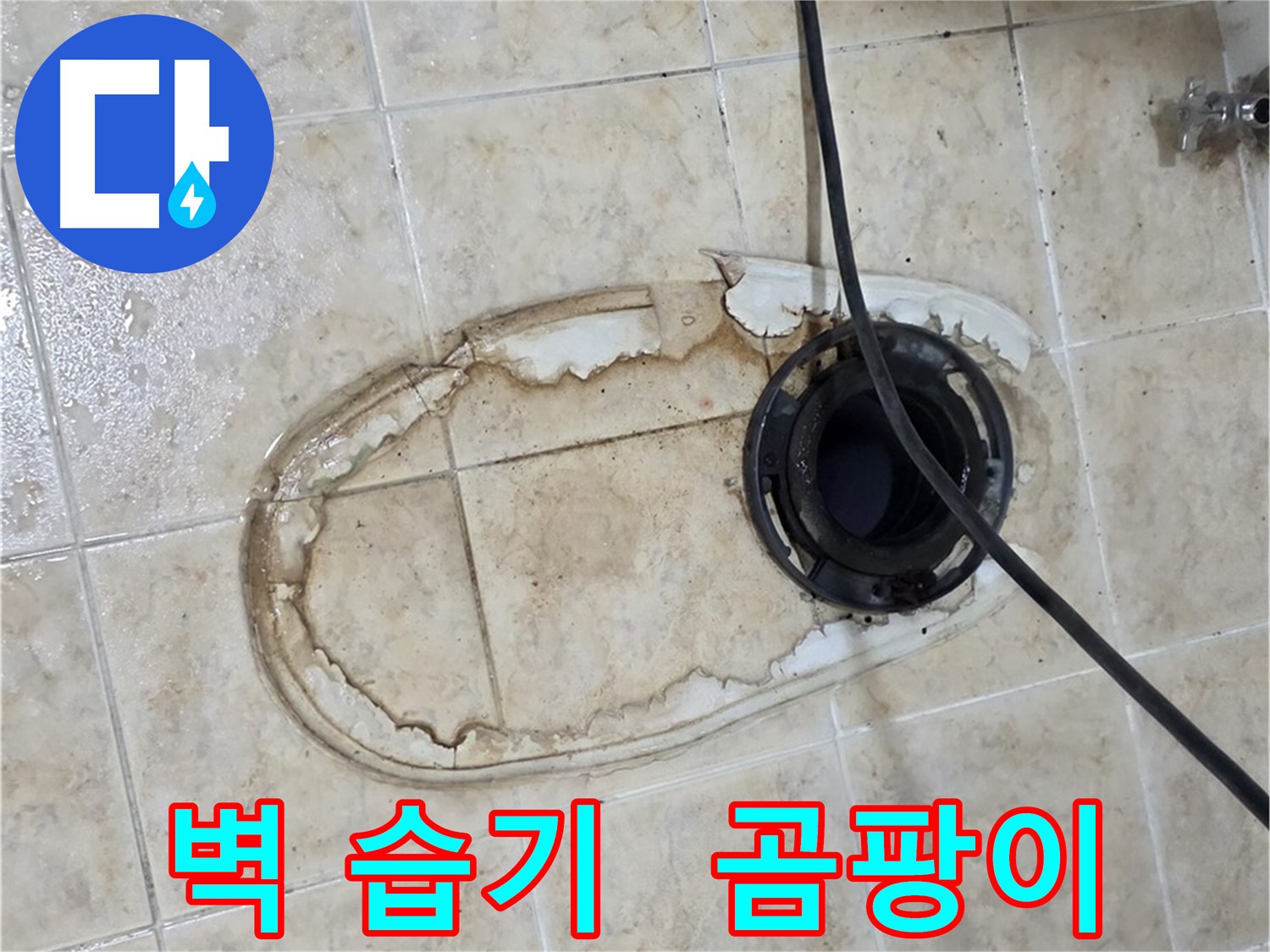 변기 누수 - 벽 습기 - 곰팡이 포자 제거