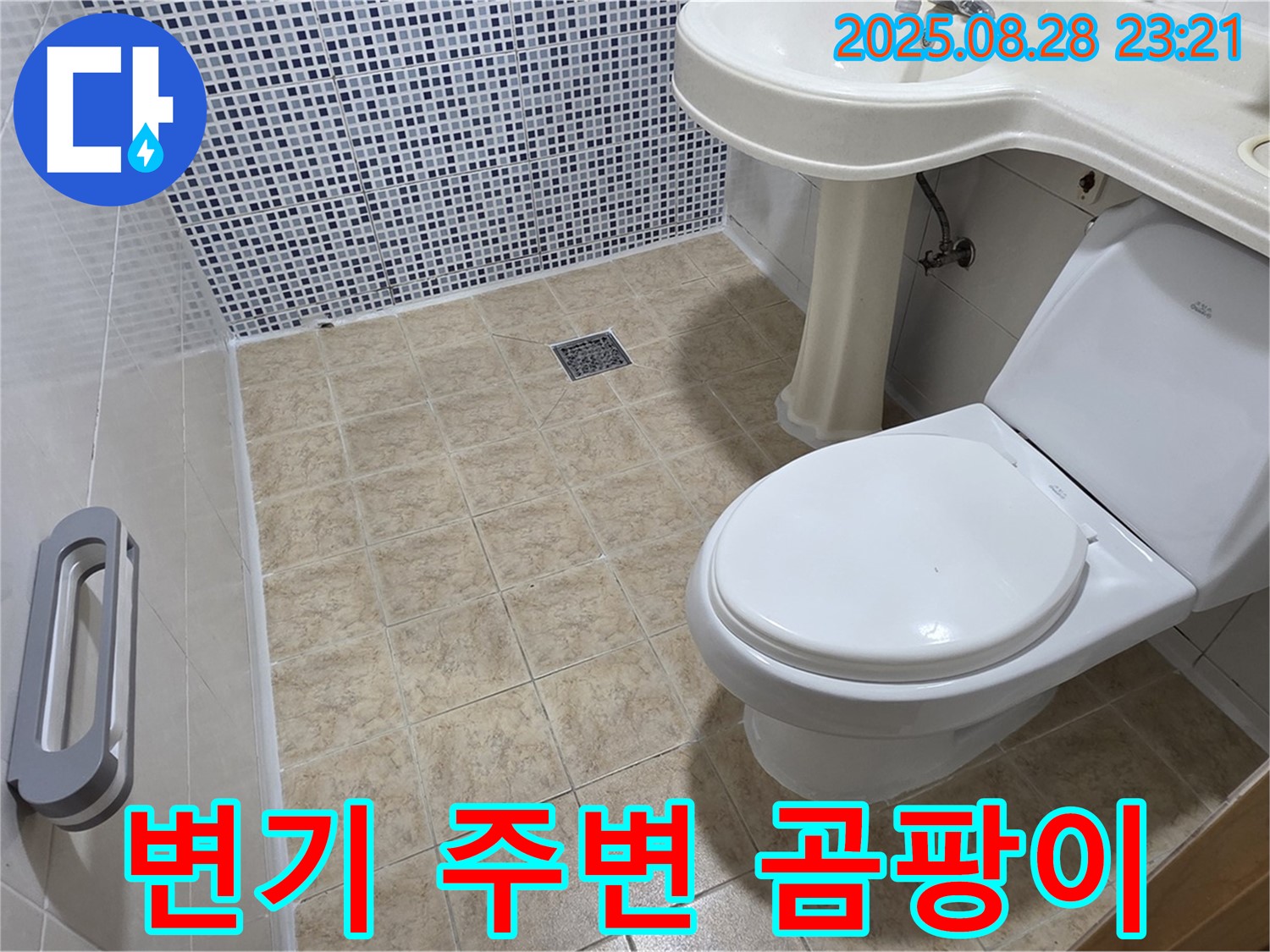 변기 주변 곰팡이 - 누수 진단