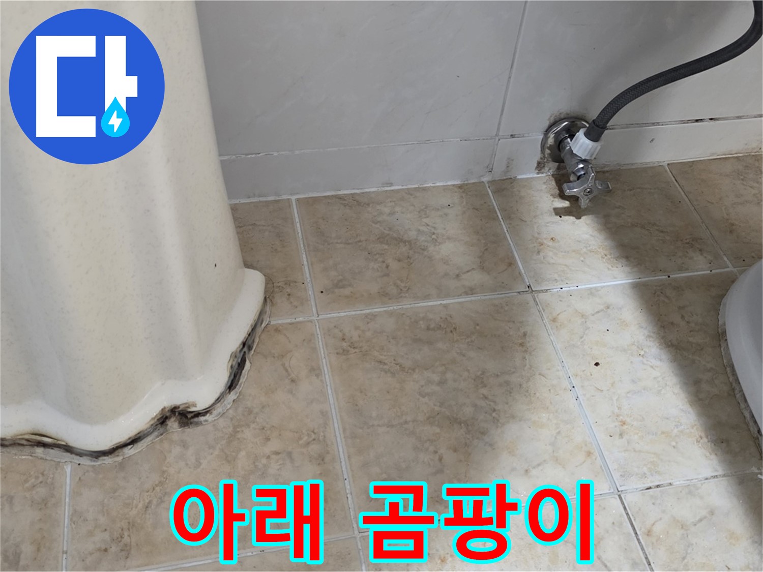 세면대 아래 곰팡이 - 습기 제거가 먼저 - 습기 제거 전문가