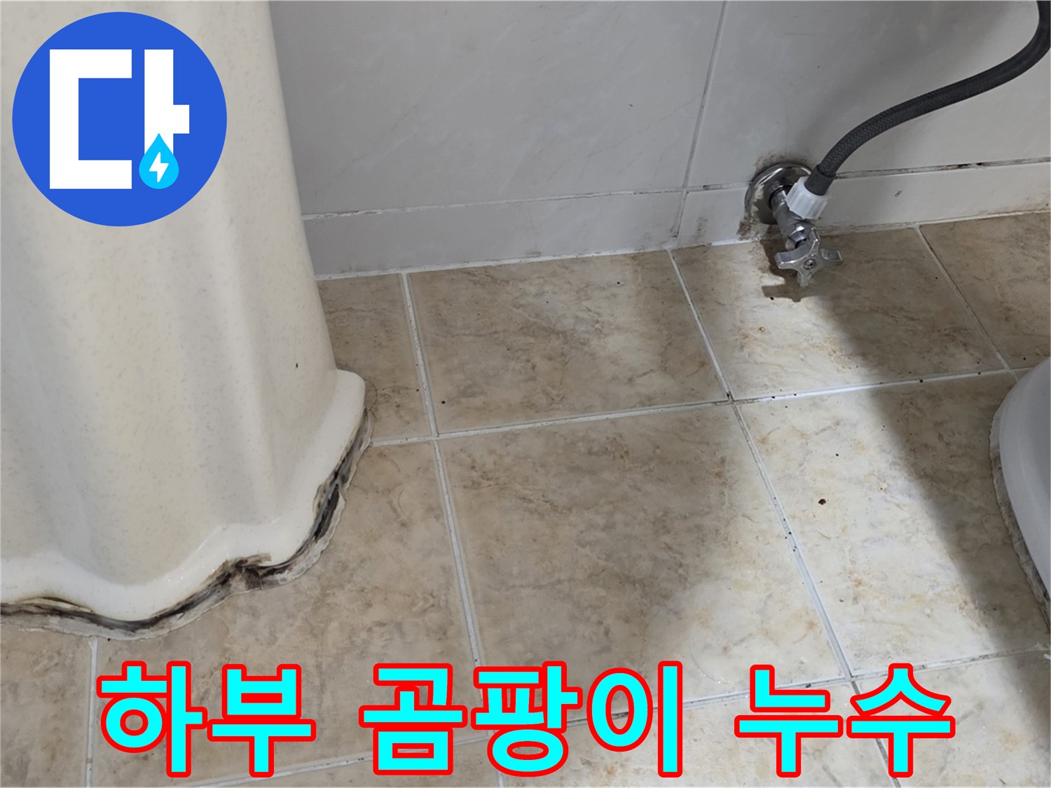 세면대 하부 곰팡이 - 곰팡이, 더 이상 참지 마세요 - 쾌적한 환경 만들기