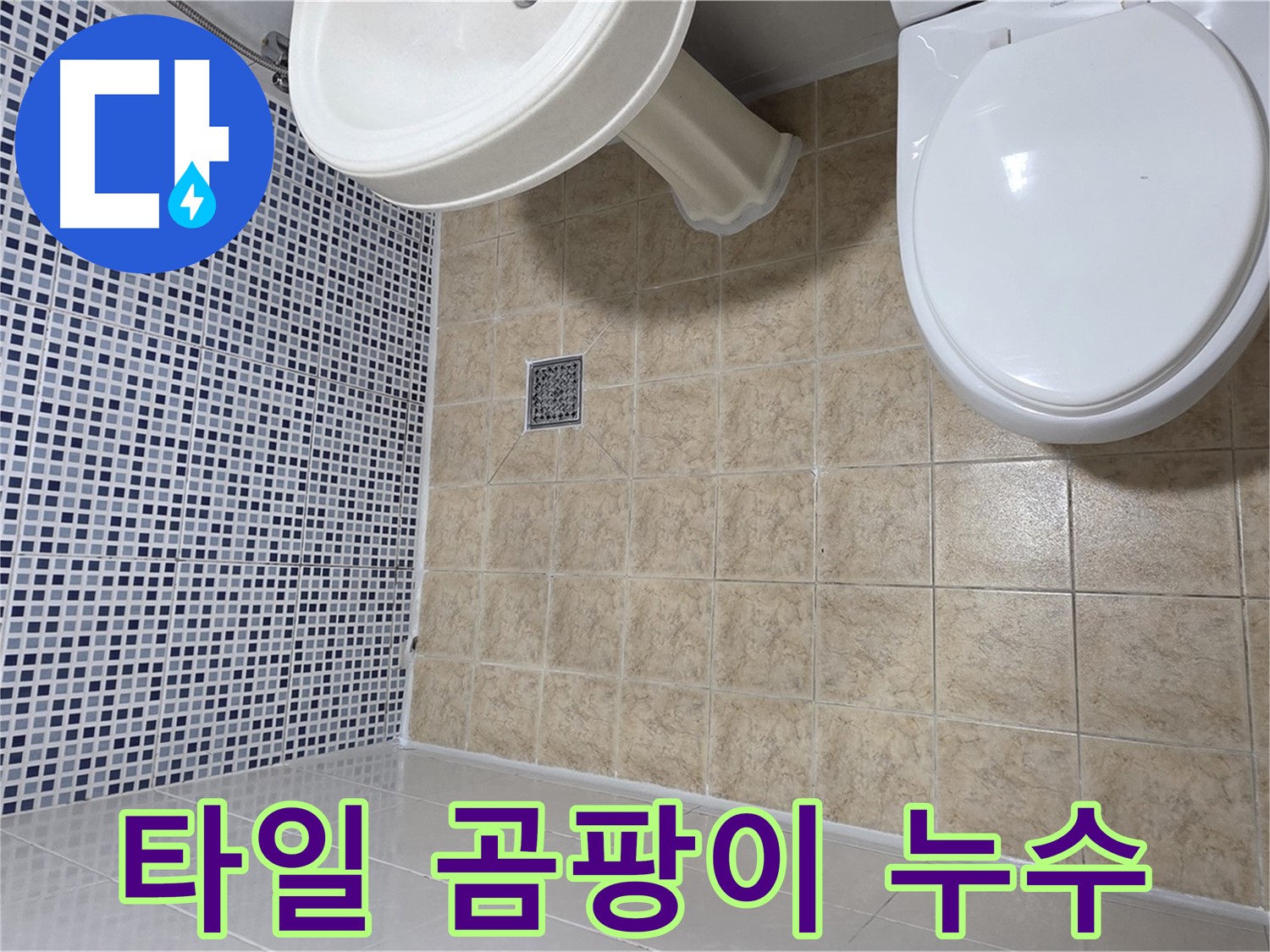 욕실 타일 사이 곰팡이 - 누수의 신호일 수 있습니다 - 꼼꼼한 점검 필요