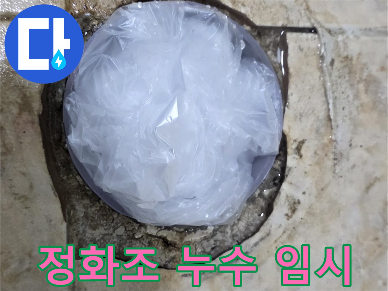 정화조 누수 지점을 비닐로 덮어 임시 봉쇄 - 추가 피해를 막기 위한 현명한 선택입니다.