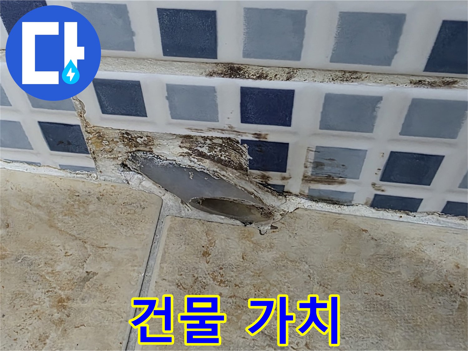젠다이 곰팡이 - 방치하면 건물 가치가 떨어질까요?