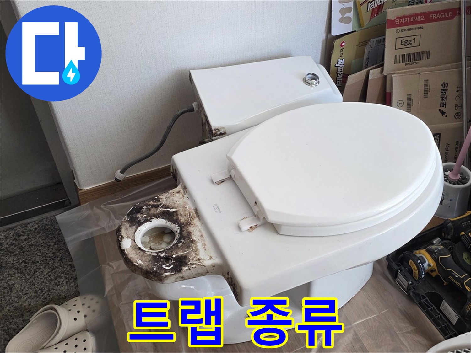 중랑구 묵동 변기 오물 트랩 - 어떤 종류를 사용해야 할까요? 전문가가 알려드립니다.