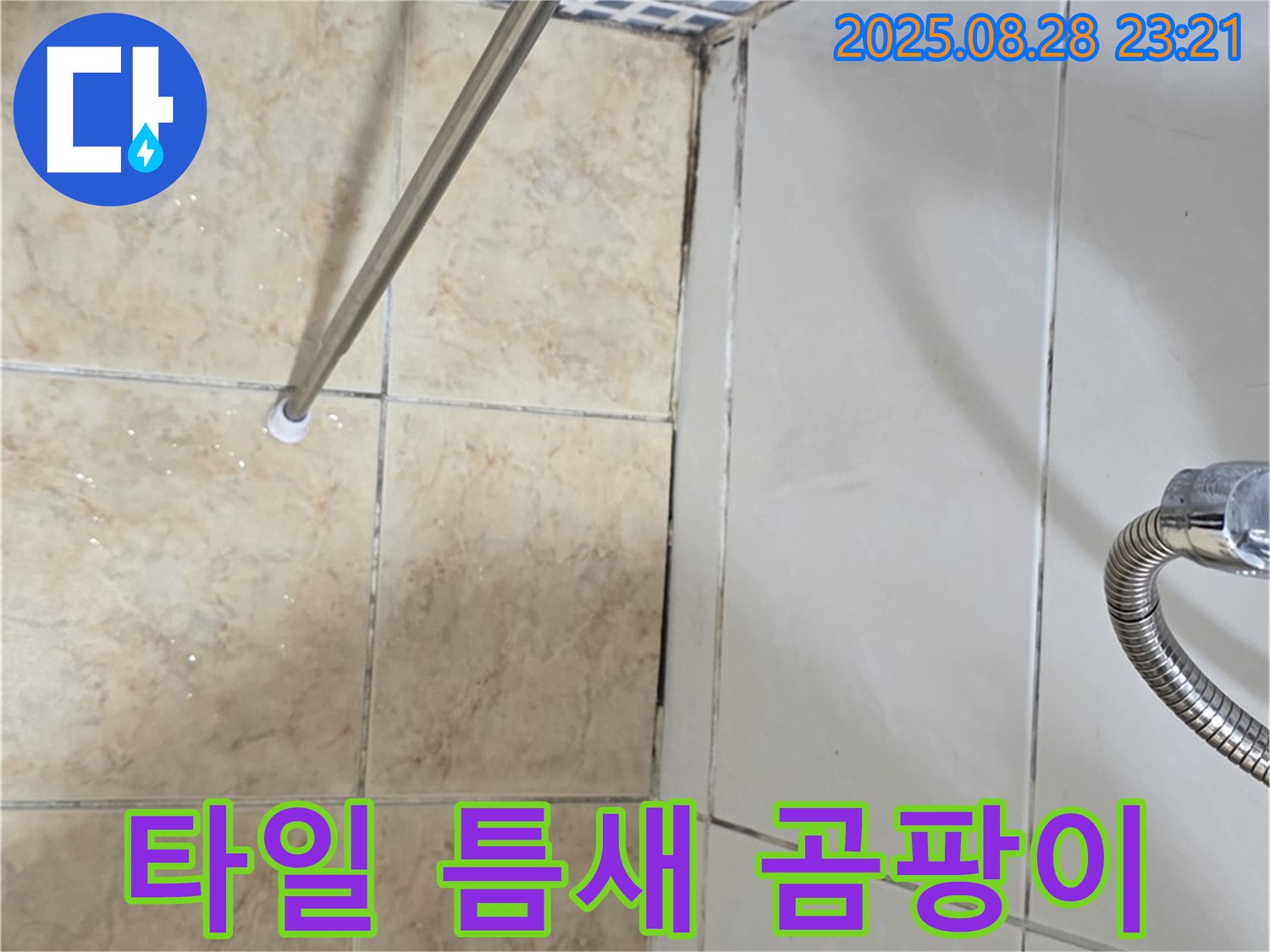 타일 틈새 곰팡이 - 습기로 인한 곰팡이 발생 및 누수