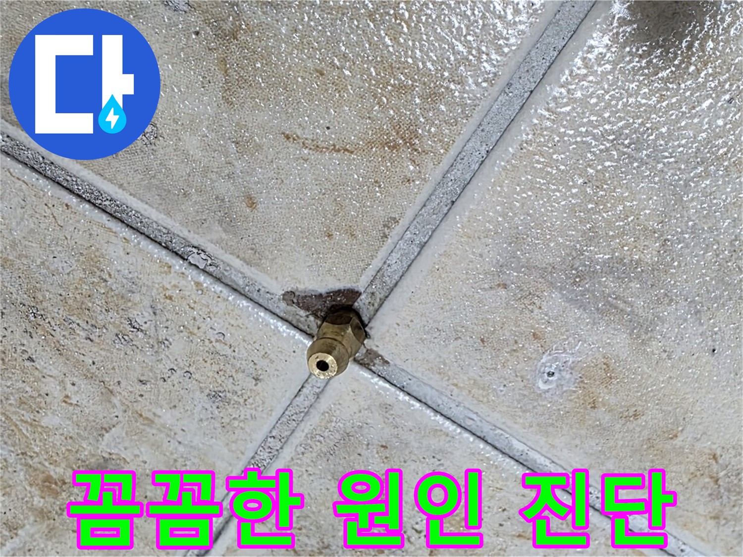 타일 틈새 - 꼼꼼한 점검