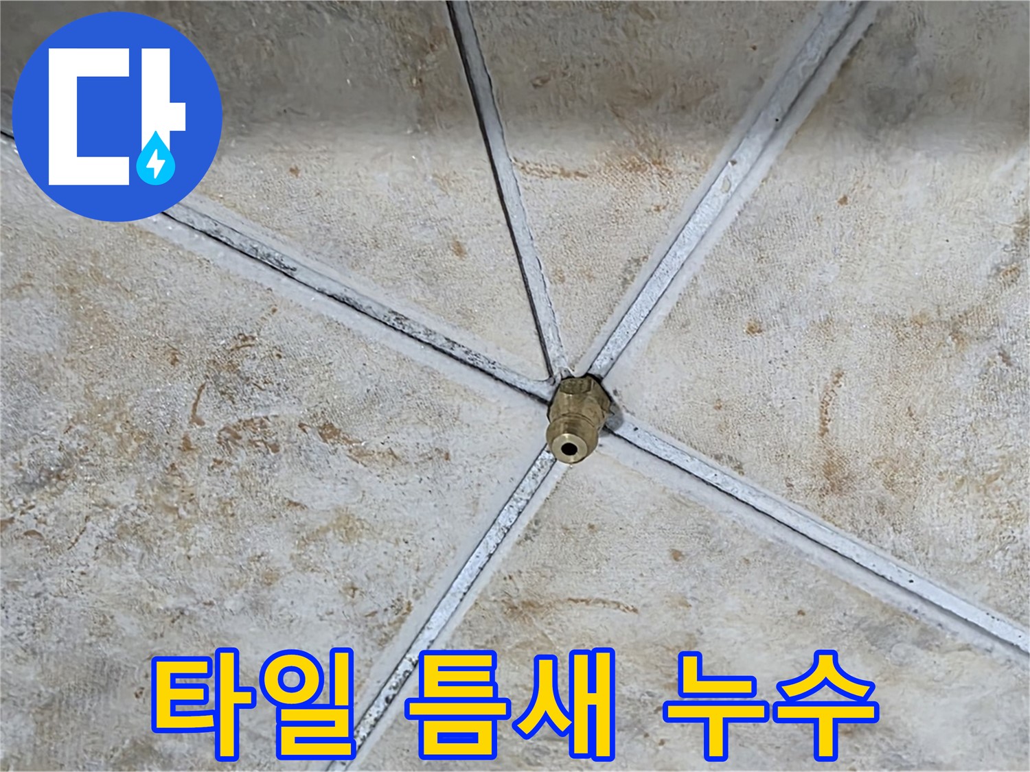 타일 틈새 누수 - 작은 틈새도 꼼꼼하게 확인합니다.