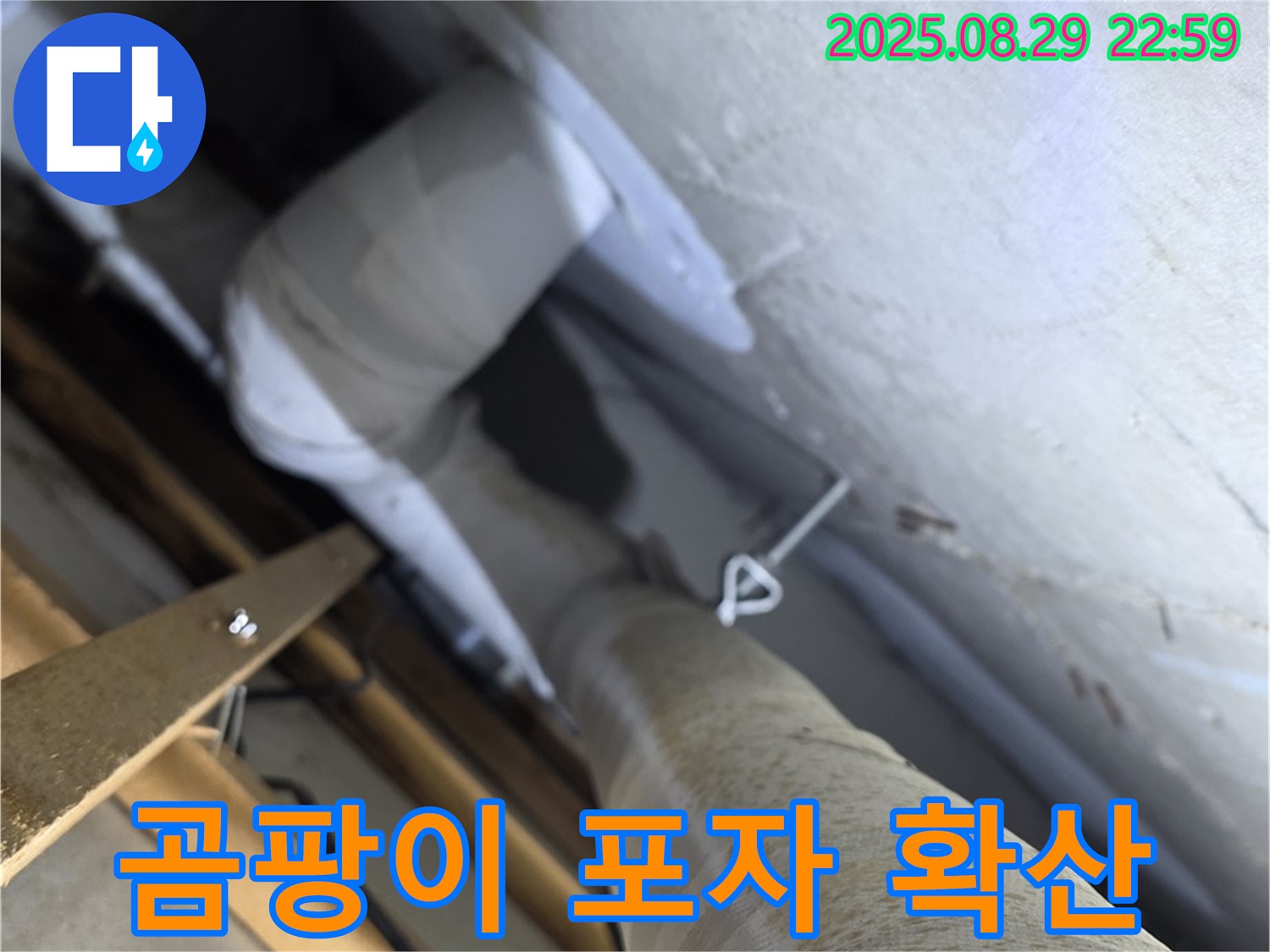 양주 백석 서광아침의빛 천장 배관 - 곰팡이 포자가 가득한 보온재는 곰팡이 확산이 우려됩니다.