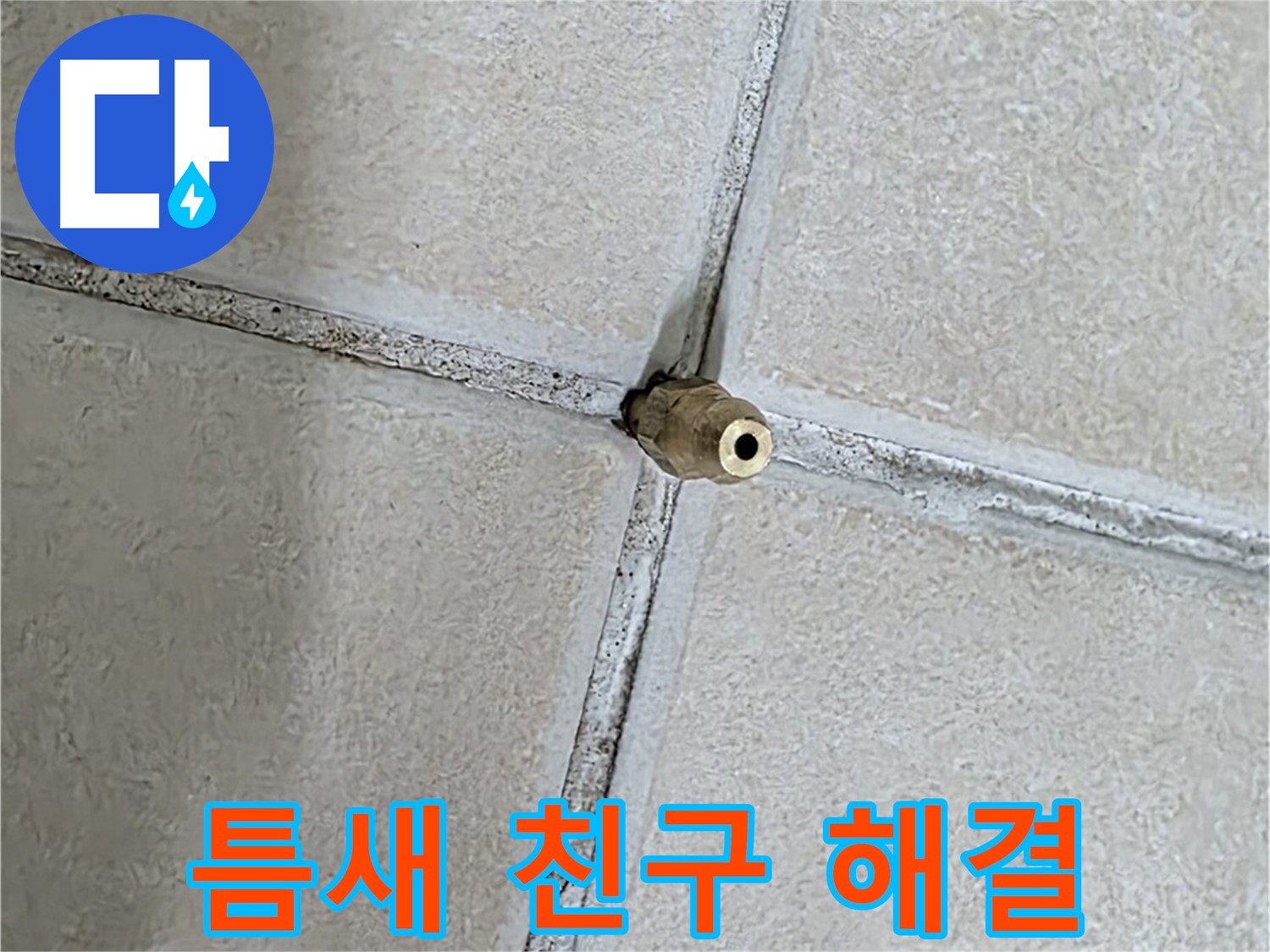 양주 백석 서광아파트 누수 - 틈새와 친구가 되어 누수 문제를 해결하는 긍정적인 마인드.