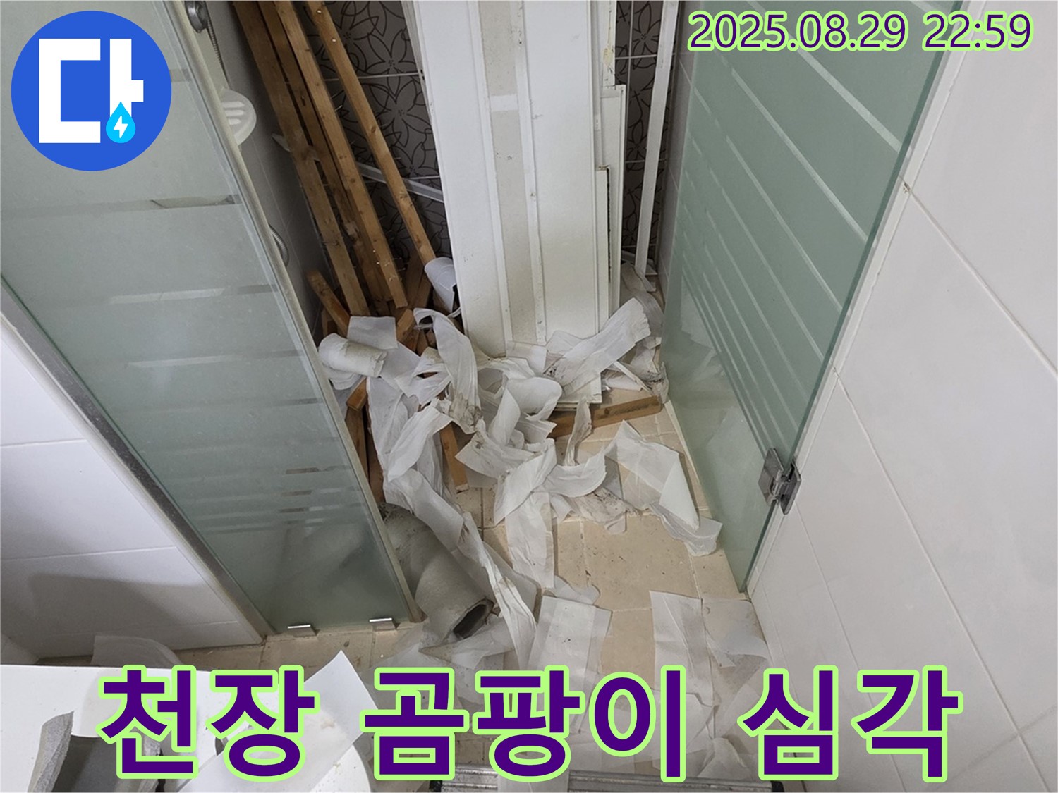 양주 백석 서광아파트 욕실 누수 - 천장 누수, 곰팡이 발생, 심각한 상황