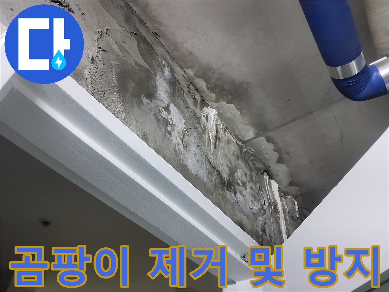 곰팡이 제거 및 방지 - 누수로 인해 발생한 곰팡이를 깨끗하게 제거하고 곰팡이 방지 약품을 시공하는 모습입니다.