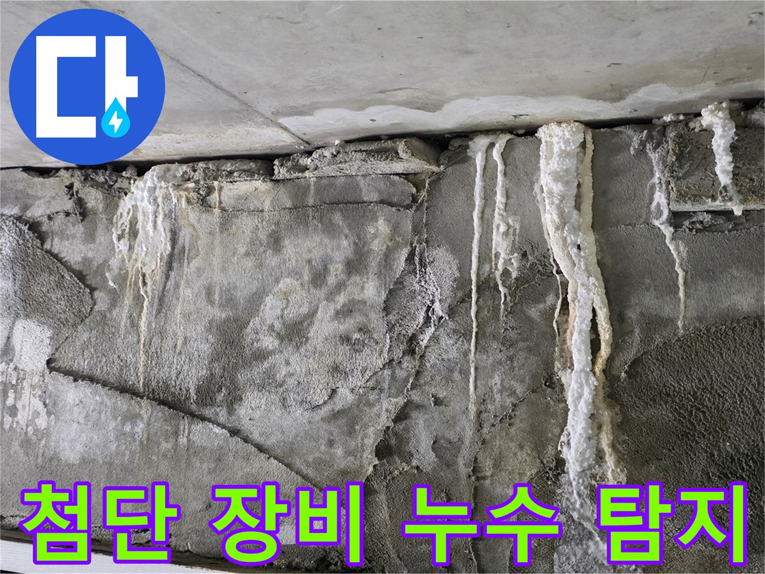 분당 누수 탐지 - 첨단 장비로 숨은 누수 정복