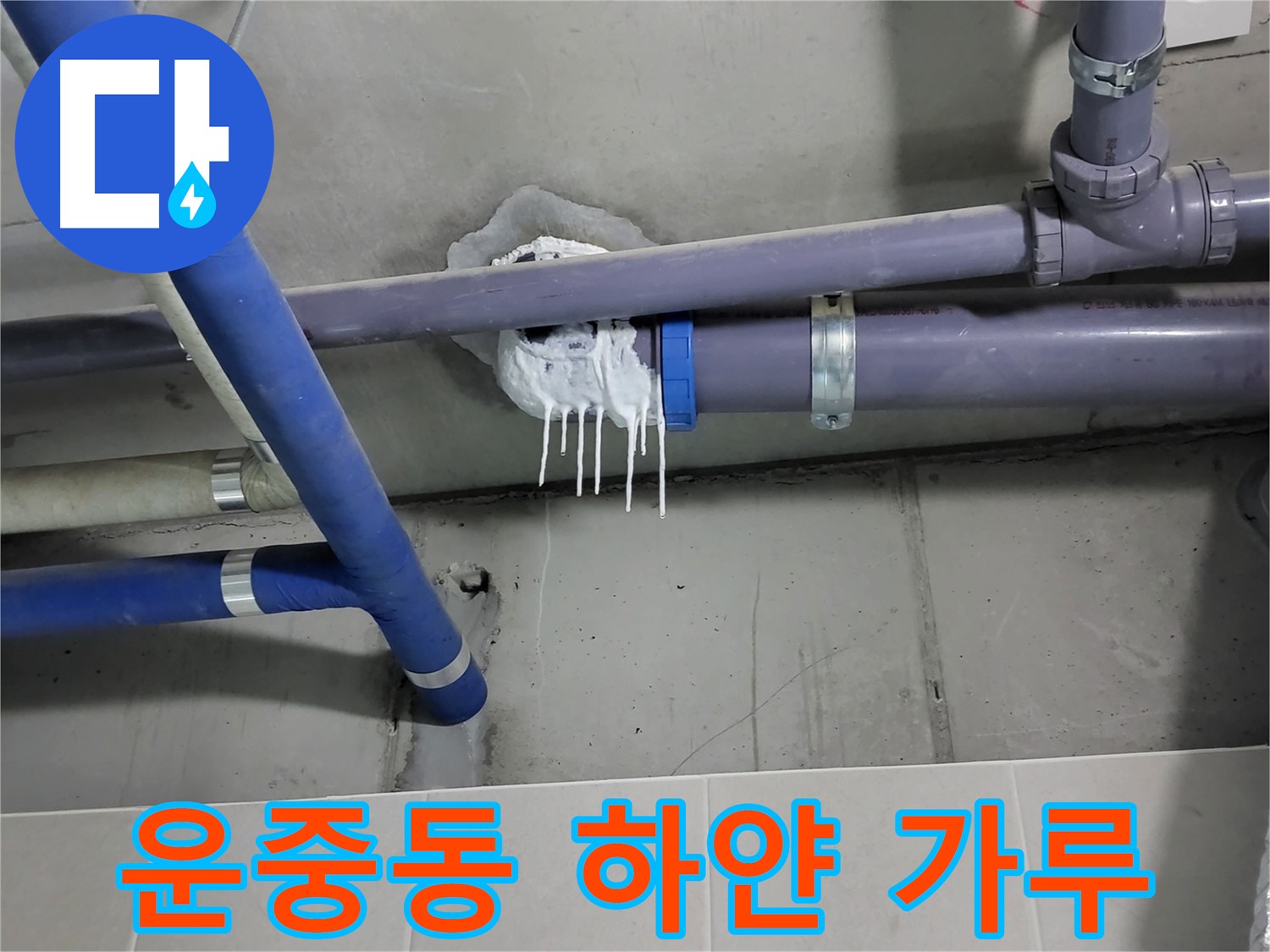 운중동 하수 누수 - 배관 연결 부위 하얀 가루