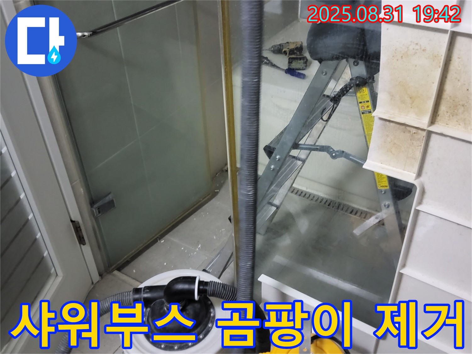 분당 운중동 산운마을 6단지 - 샤워부스 곰팡이 제거 및 습기 관리 중요