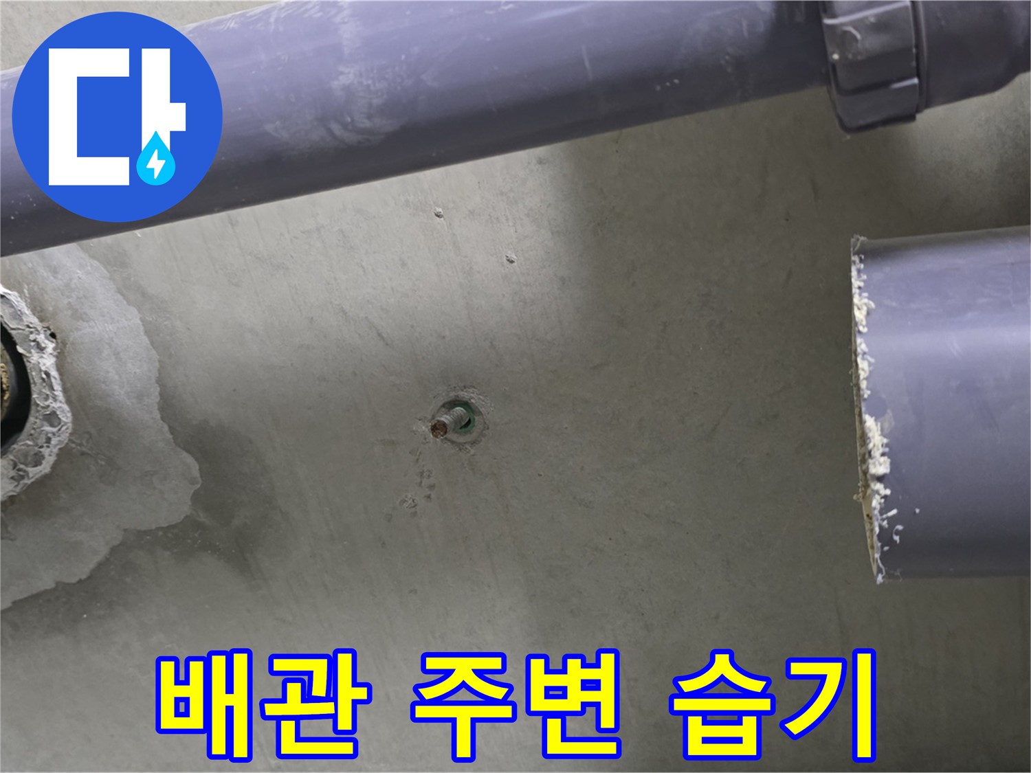 분당 운중동 산운마을 6단지 아파트 누수 현장에서 배관 주변의 습기를 확인하는 모습 - 작은 습기도 놓치지 않고 누수를 찾아냅니다.