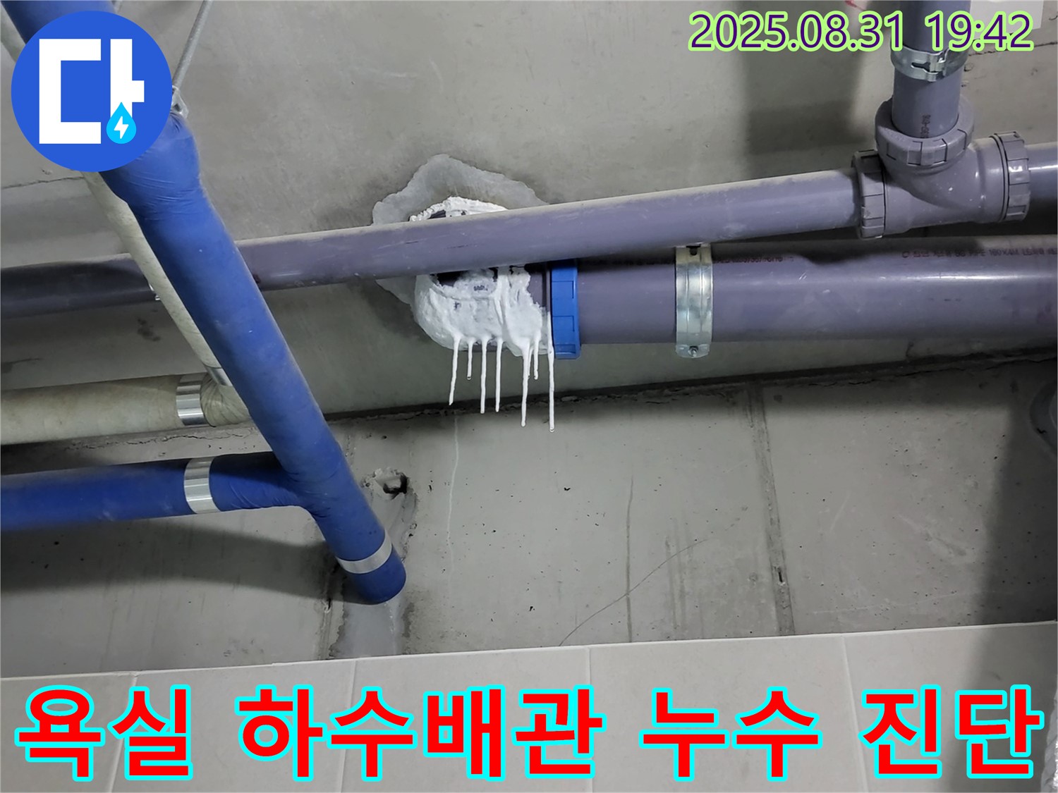 분당 운중동 산운마을 6단지 욕실에서 발생한 하수배관 누수 - 누수 진단 과정