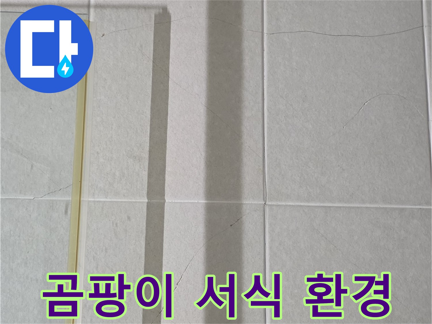 분당 운중동 산운마을 샤워부스 - 샤워 후 습기 제거 미흡으로 인한 곰팡이 서식 환경 조성