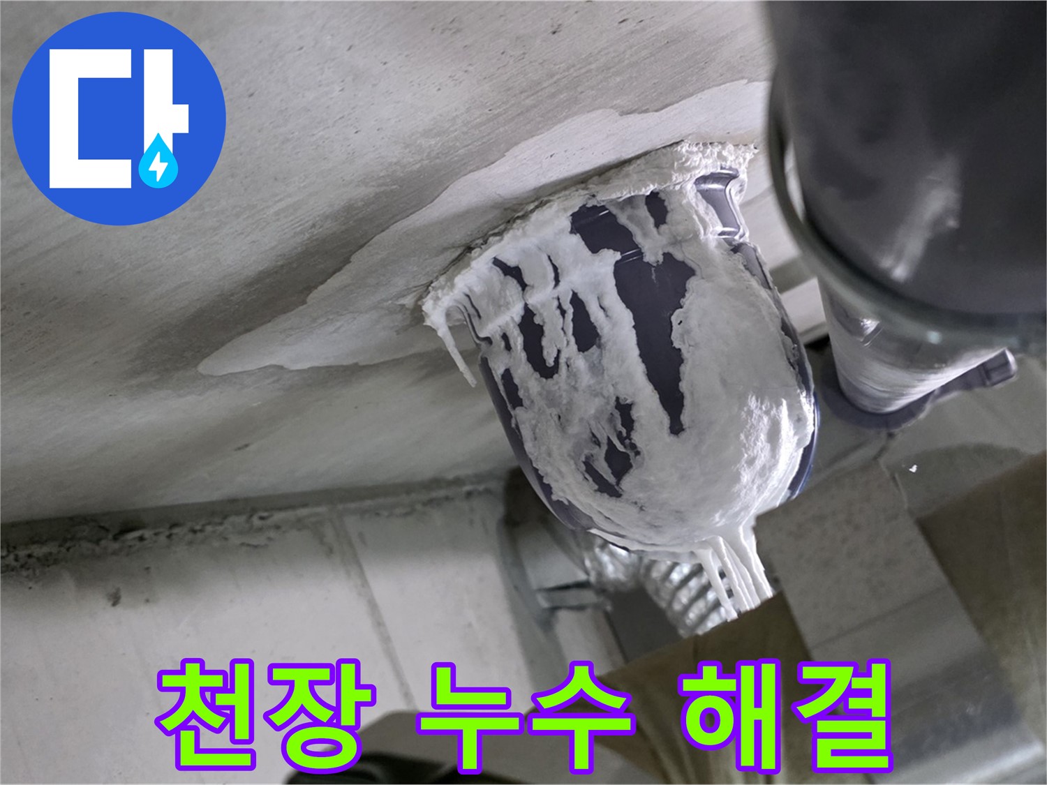 분당 운중동 아파트 누수 - 천장 누수 원인을 찾아 완벽하게 해결
