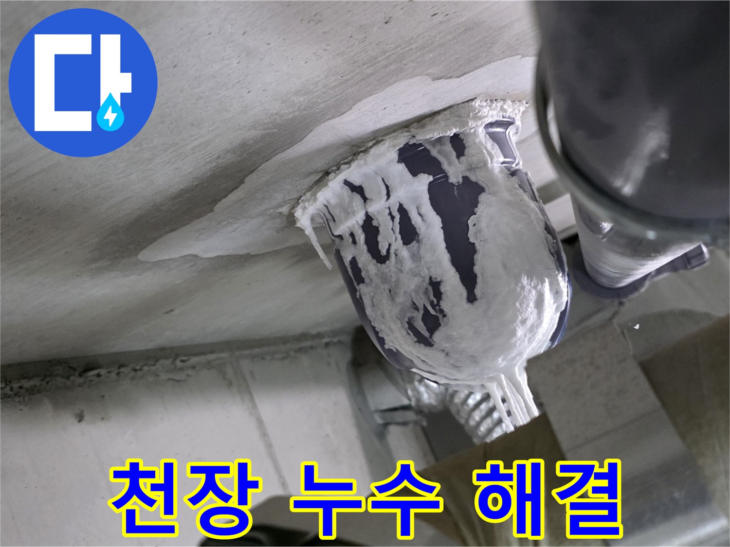분당 운중동 - 천장 누수 완벽 해결, 전문 업체의 기술력