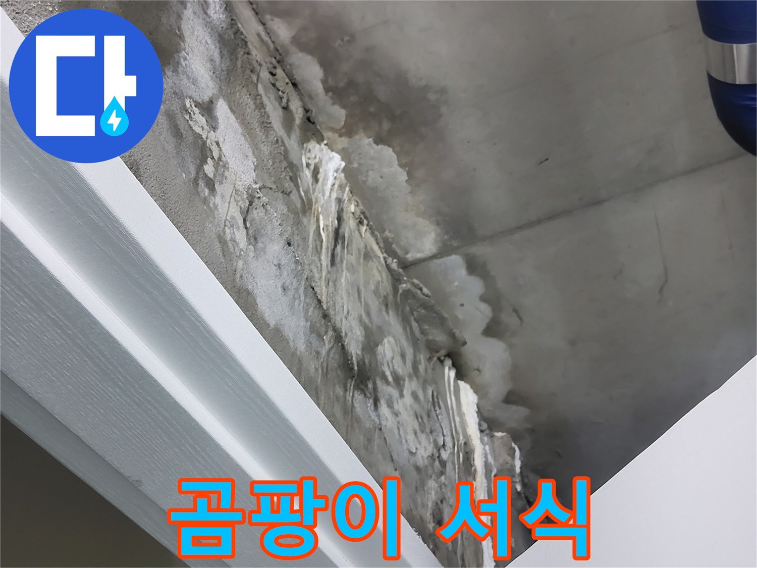분당 운중동 - 콘크리트 누수 - 백화현상 - 곰팡이 서식 환경 제공