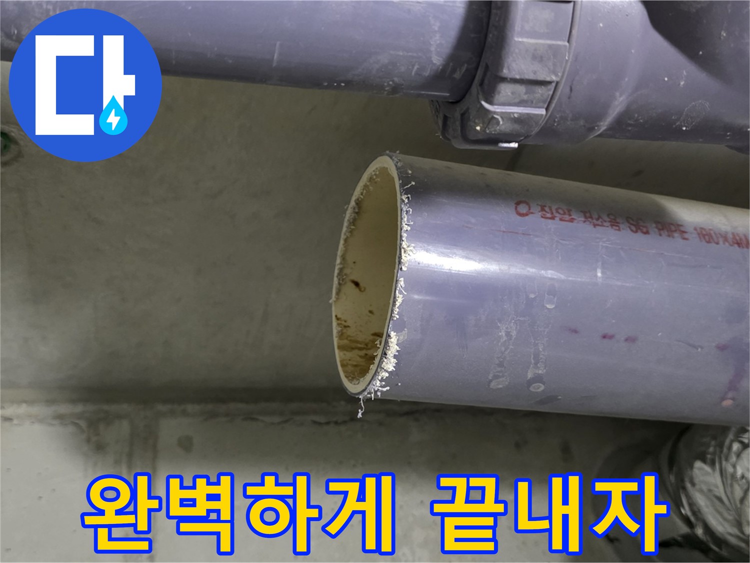 분당구 운중동 누수 현장 - 누수 문제를 해결하고 있는 전문가의 모습 - 완벽한 해결을 약속합니다.