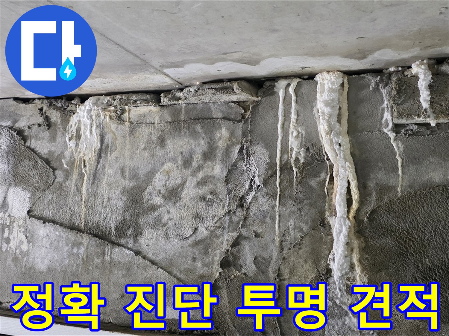 성남 누수 탐지 - 정확한 진단과 투명한 견적 제공