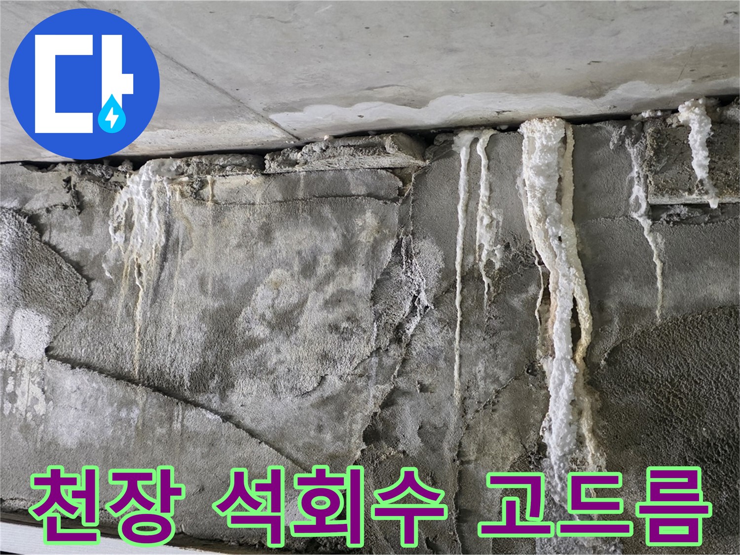 운중동 누수 - 천장 석회수 고드름, 건물 붕괴 위험, 방문