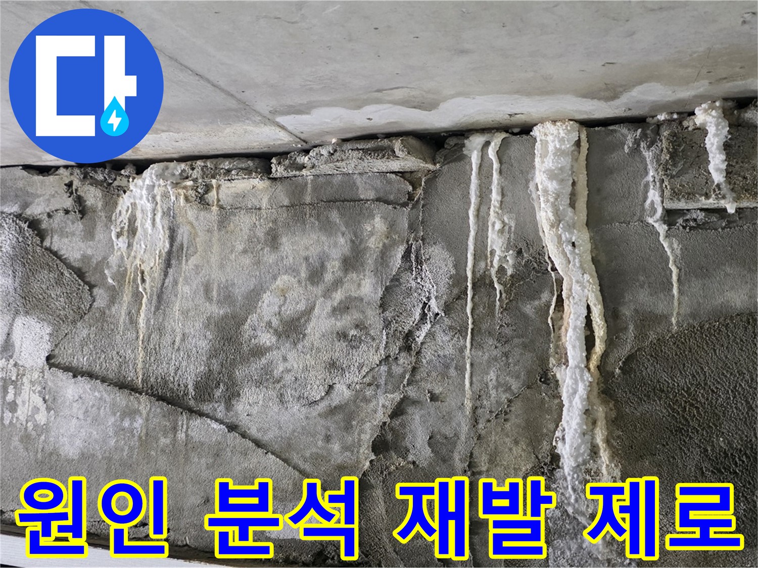 운중동 누수 해결 - 누수 원인 완전 차단, 재발 제로