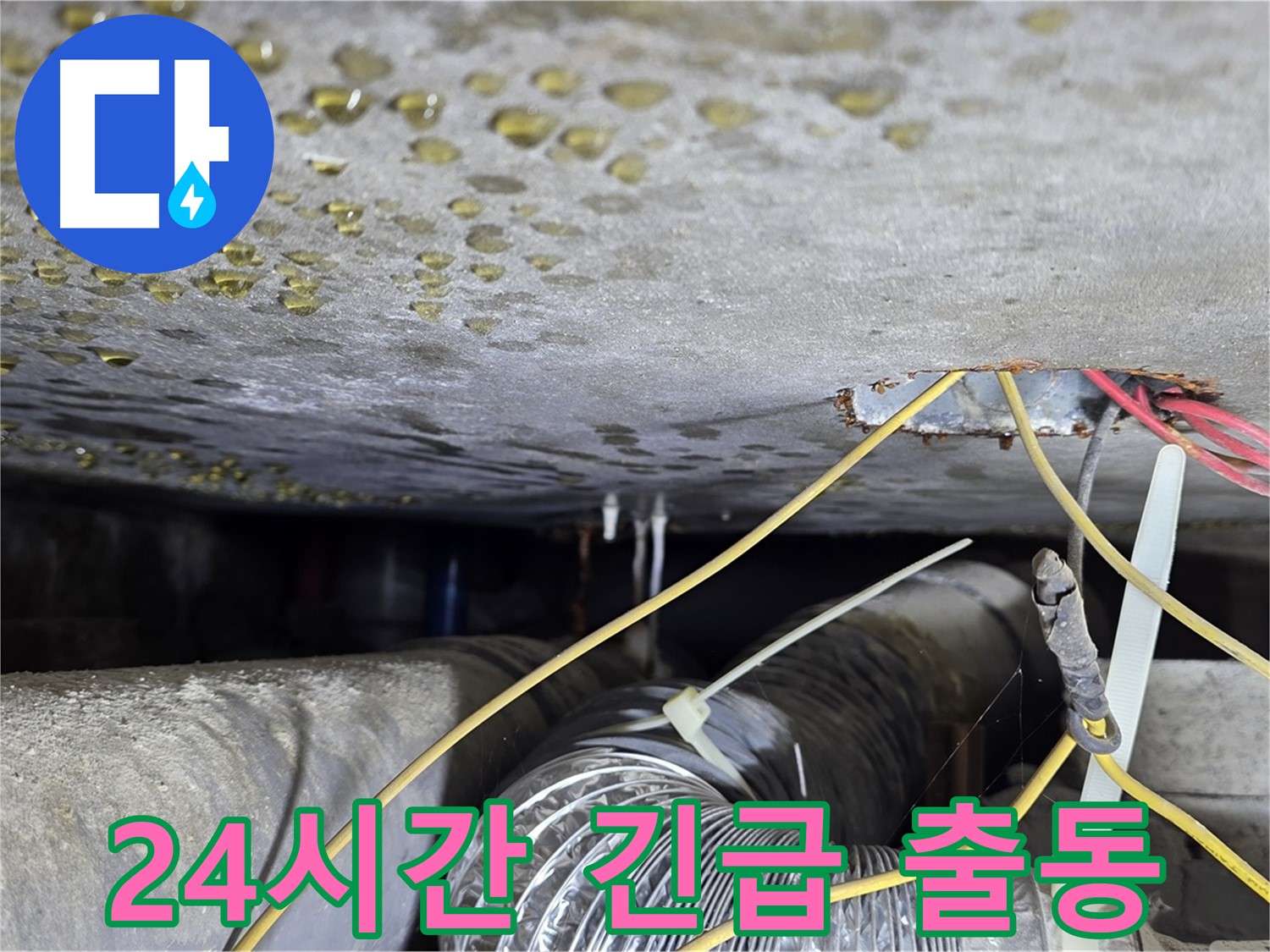 24시간 긴급 출동 누수 해결 - 콘크리트 균열과 배관 문제로 인한 긴급 누수