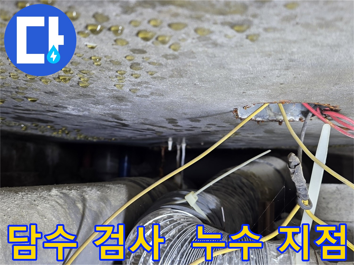광진구 누수 담수 검사 - 천장 콘크리트 틈새와 배관 주변 누수 지점 확인