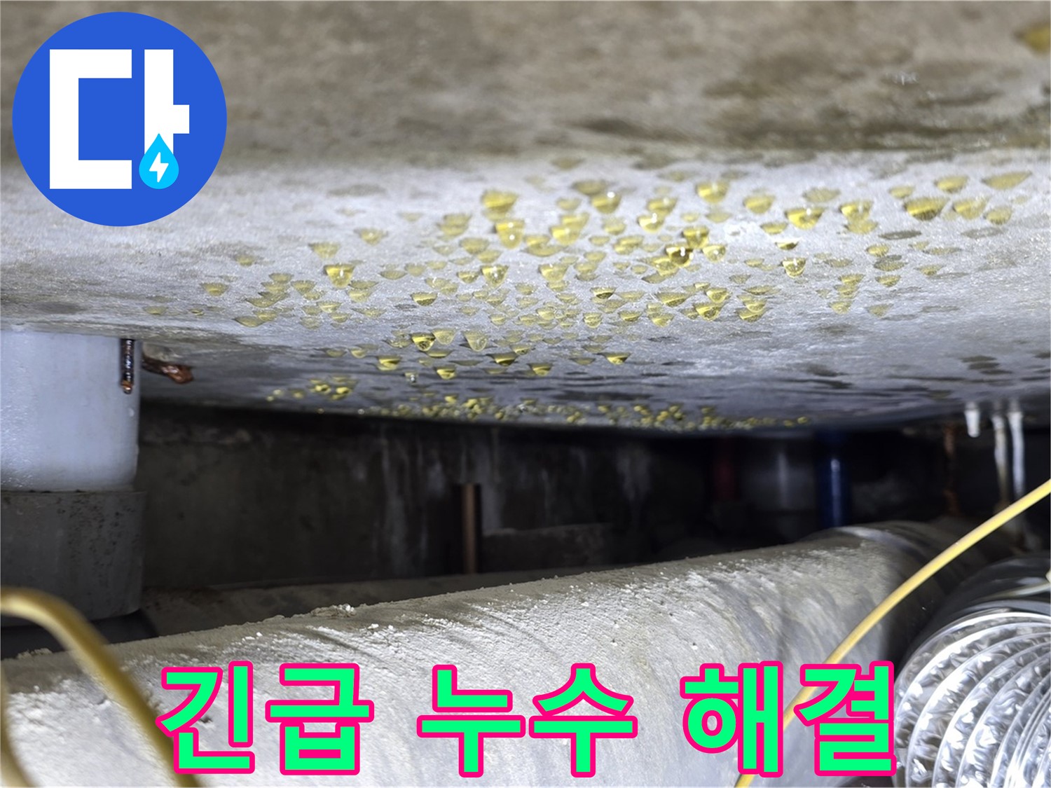 광진구 능동 빌라 천장 누수 - 긴급 누수 상황에 신속하게 대응합니다.