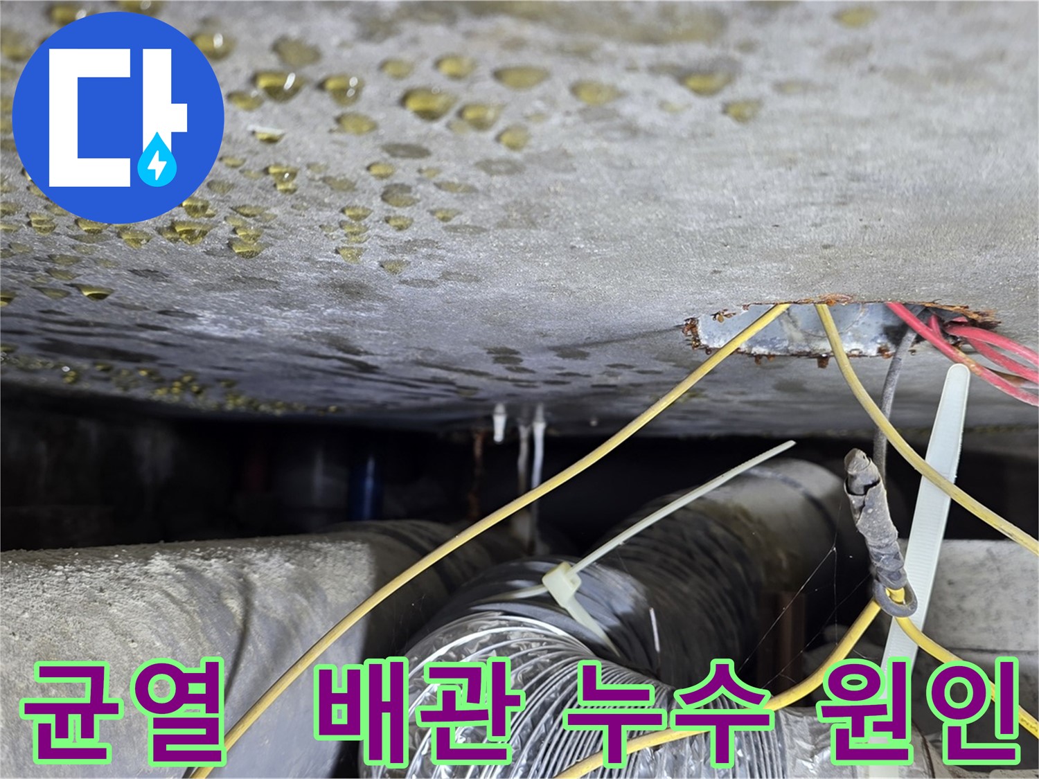 광진구 능동 빌라 천장 누수 흔적 - 콘크리트 미세 균열과 배관 문제
