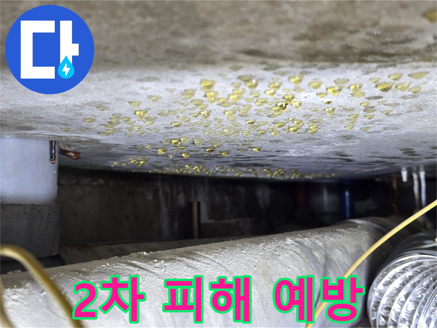 광진구 능동 아성빌라트 천장 누수 - 누수 피해 확산 방지 - 2차 피해 예방